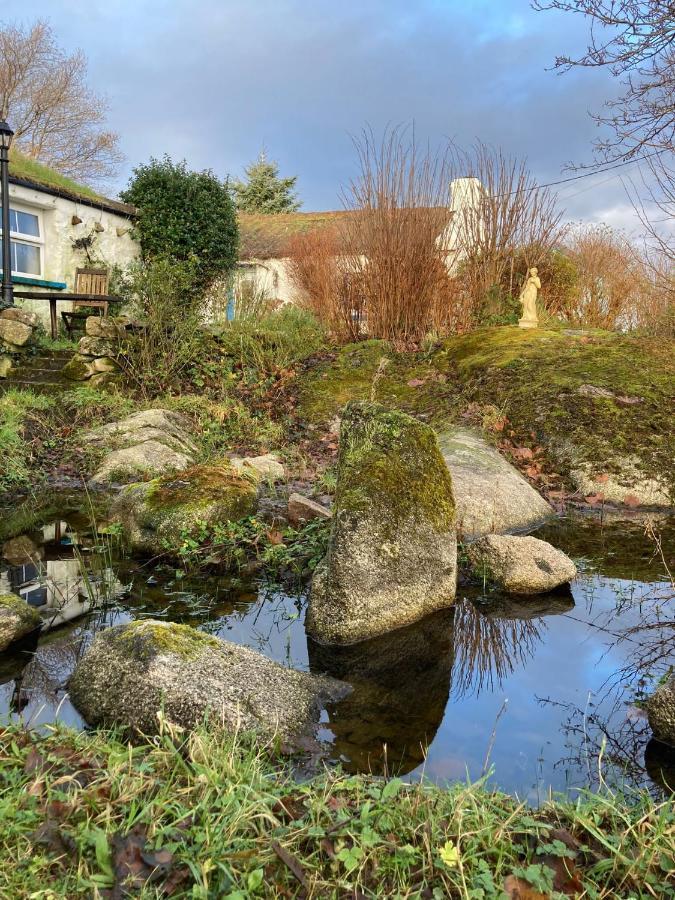 The Rockhouse - Cosy Stone Built Thatch Cottage Dungloe Exterior foto